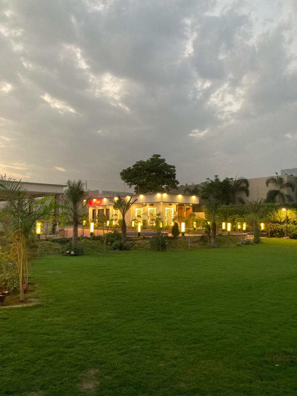 Evening lawn